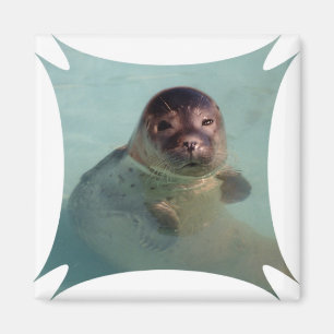 Imán del cuadrado del sello de puerto