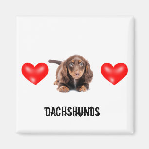 Imán del Dachshund