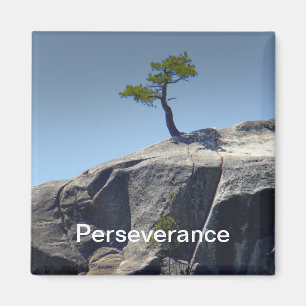 Imán del ~ de la perseverencia