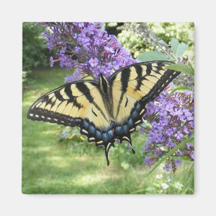 Imán del ~ de Swallowtail 94