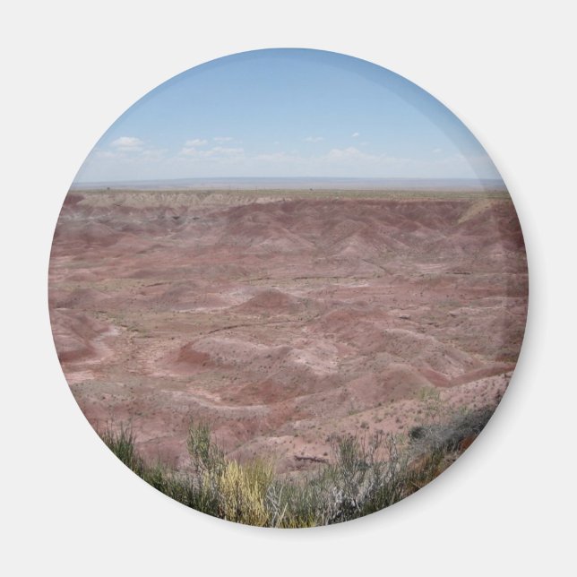 Imán del desierto pintado (Frente)