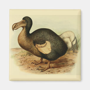 Imán del Dodo