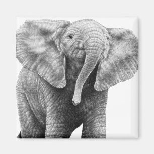 Imán del elefante africano del bebé