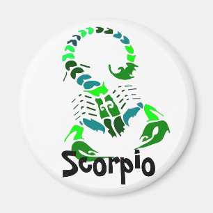 Imán del escorpión