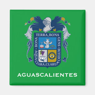 Imán del escudo de armas de Aguascalientes