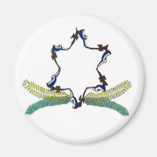 Imán del escudo de la familia redondo