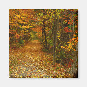 Imán del esplendor del otoño