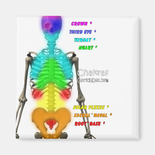 Imán del esqueleto de Chakras