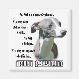 Imán del FAQ del galgo italiano
