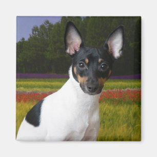 Imán del fox terrier del juguete