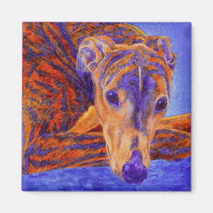 Imán del galgo - "as "