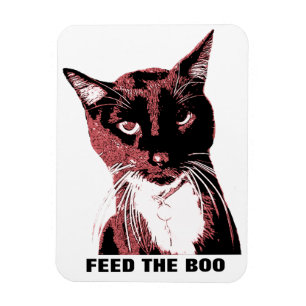 Imán del gato