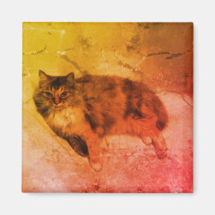 Imán del gato de calicó
