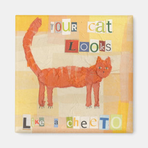 Imán del gato de Cheeto