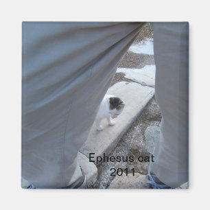Imán del gato de Ephesus