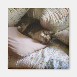 Imán del gato de la almohada