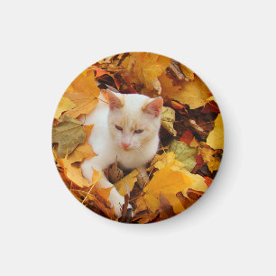 Imán del gato de la caída