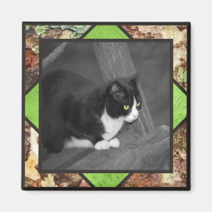 Imán del gato del corral