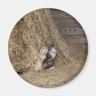 Imán del gato del granero