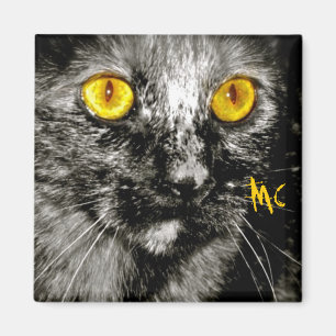 Imán del gato del mono
