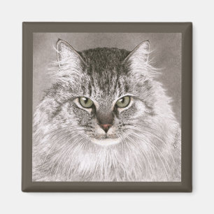 Imán del gato - "MERLIN "