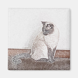 Imán del gato siamés