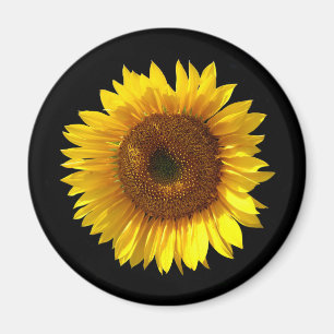 Imán del girasol