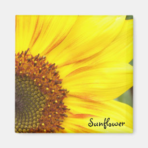 Imán del girasol