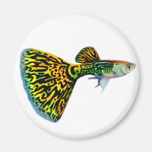 Imán del Guppy del piel de serpiente de la cobra