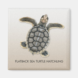 Imán del Hatchling de la tortuga de mar de