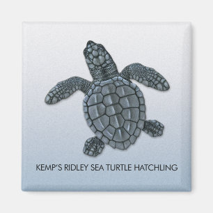 Imán del Hatchling de la tortuga de mar de Ridley