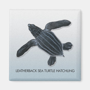 Imán del Hatchling de la tortuga de mar del