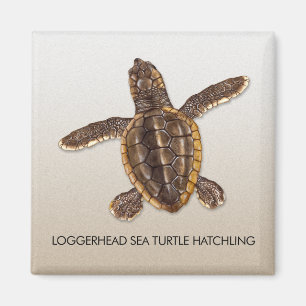 Imán del Hatchling de la tortuga de mar del necio