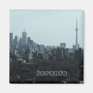Imán del horizonte de Toronto