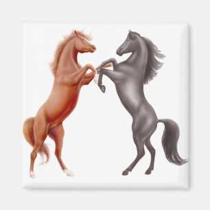 Imán del Horseplay