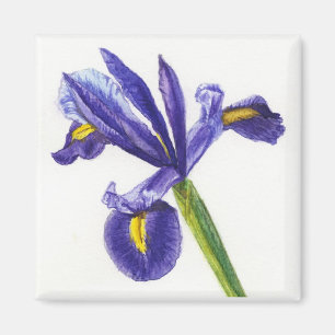 Imán del iris