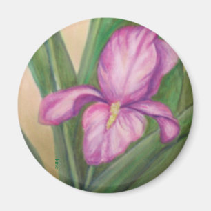 Imán del iris de Fuschia