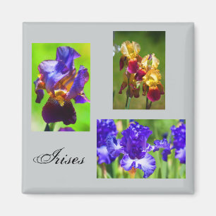 Imán del iris del verano
