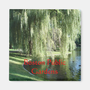Imán del jardín público de Boston