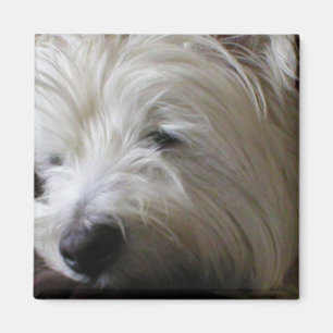 Imán del KRW Westie