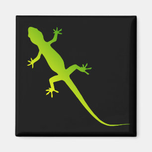 Imán del lagarto