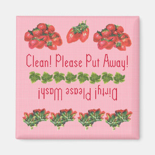 Imán del lavaplatos de las fresas