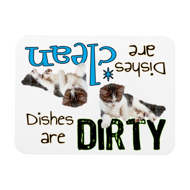 Imán del lavavajillas del rectángulo del gato lúdi (Horizontal)