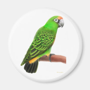 Imán del loro de Jardines