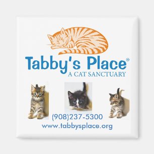 Imán del lugar del Tabby