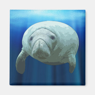 Imán del Manatee