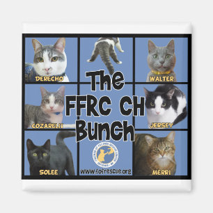 Imán del manojo de FFRC CH