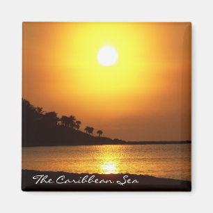 Imán del mar del Caribe de Cancun México del may