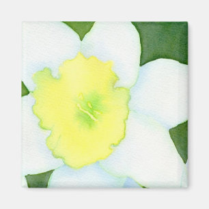 Imán del narciso