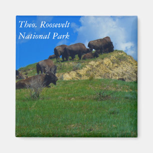Imán del ND del parque nacional de Theodore